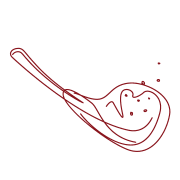 Sashi Beef